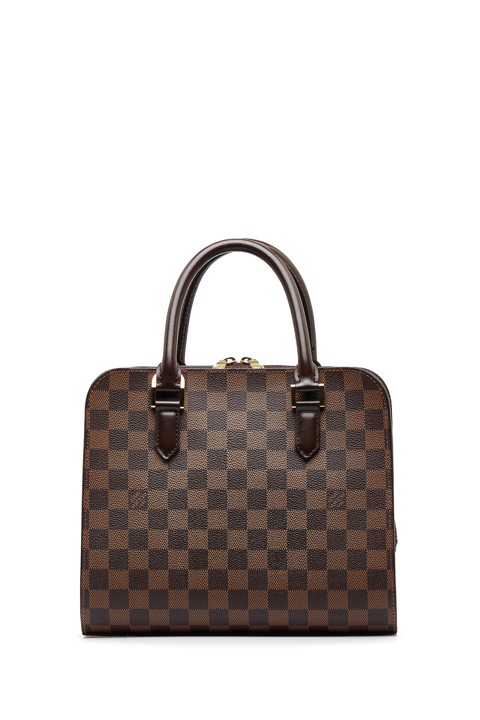 Pre-loved Louis Vuitton Vintage Damier Sauvage Tigre Handbag
