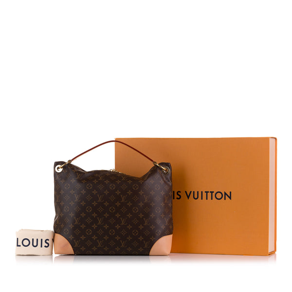 Louis Vuitton Berri Organizer Insert, Bag Organizer with Double Bottle -  Zepmade