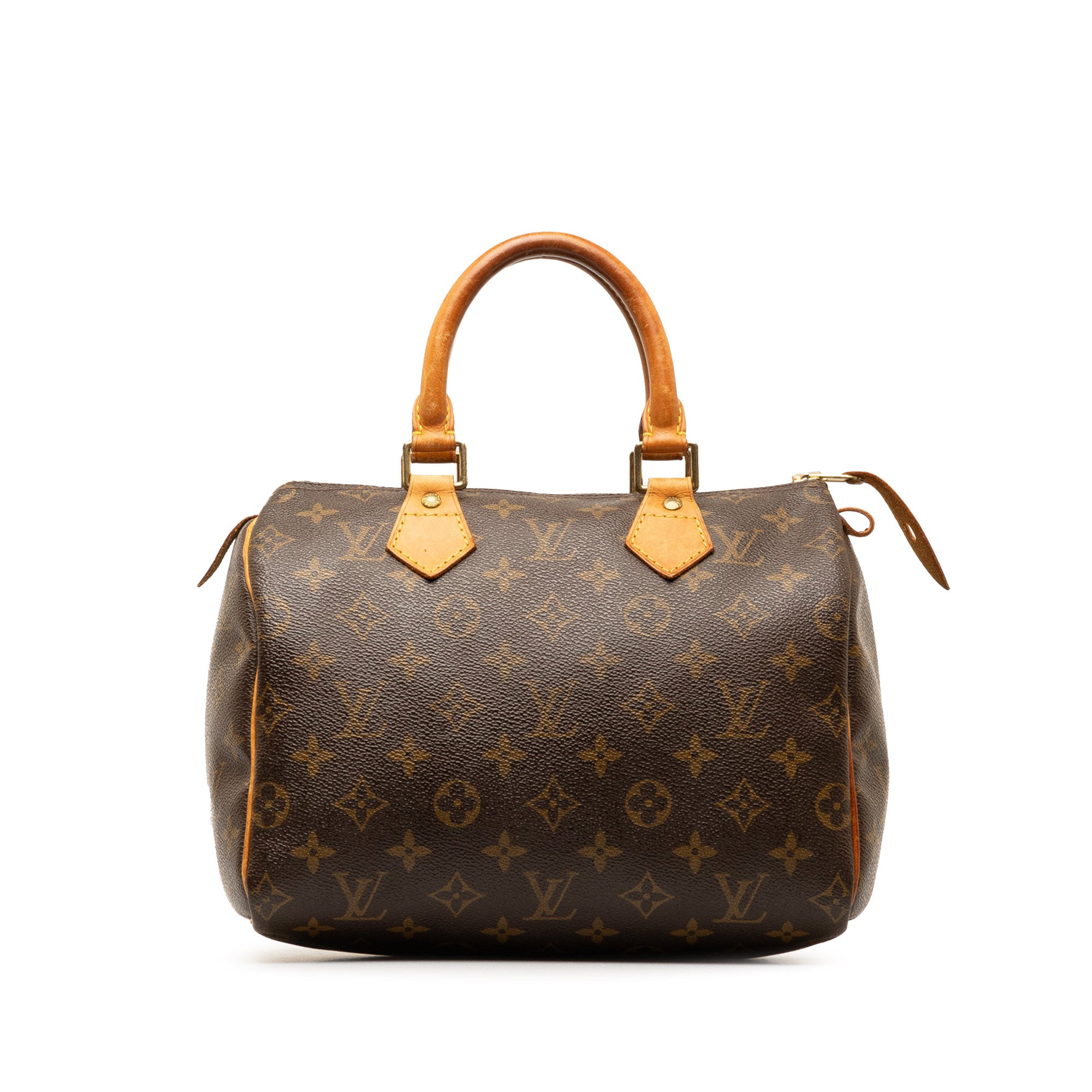 Louis Vuitton 2012 pre-owned Limited Edition leopard tote