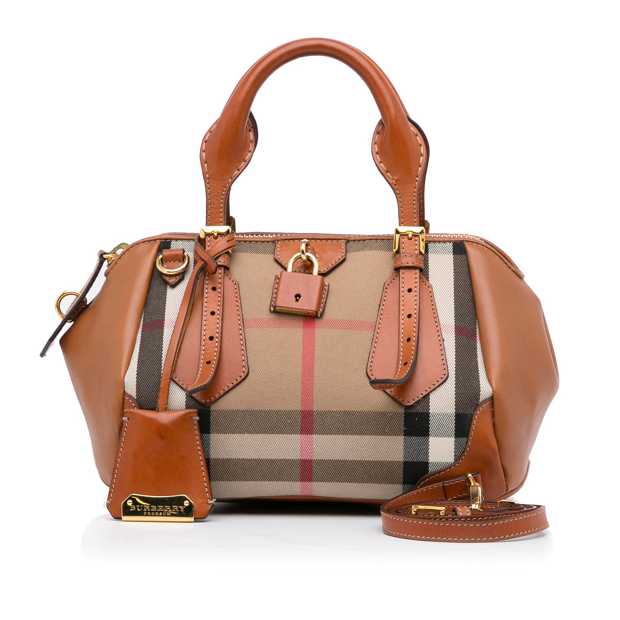 Check and Leather Bag Strap in Tan - Women