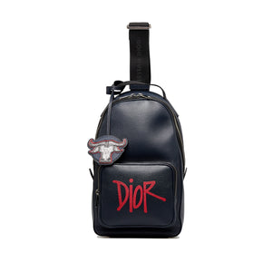 Dior x Peter Doig Sling Bag Black in Grained Calfskin with Silver