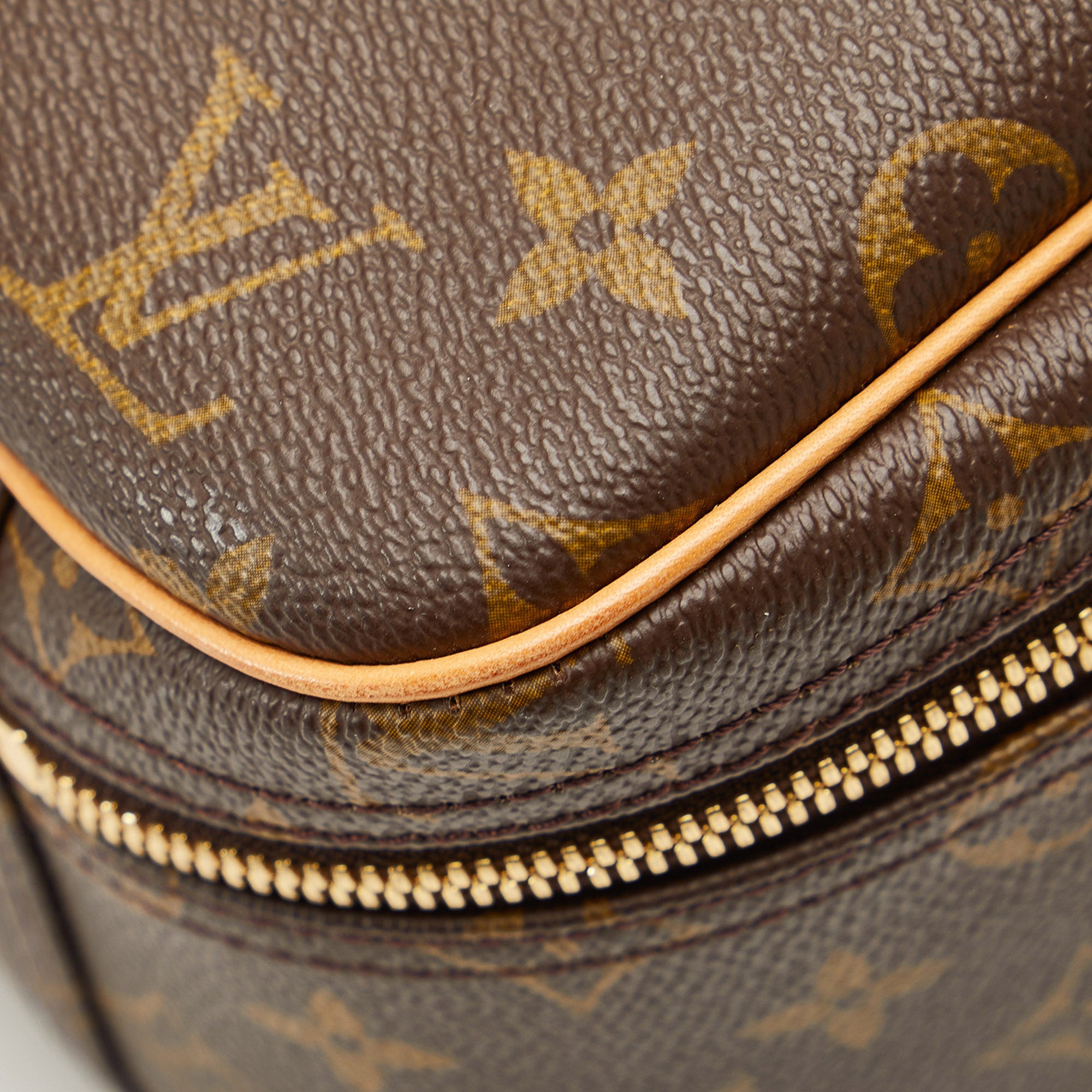 Louis Vuitton Monogram Excursion Shoe - Brown Handle Bags, Handbags -  LOU800712