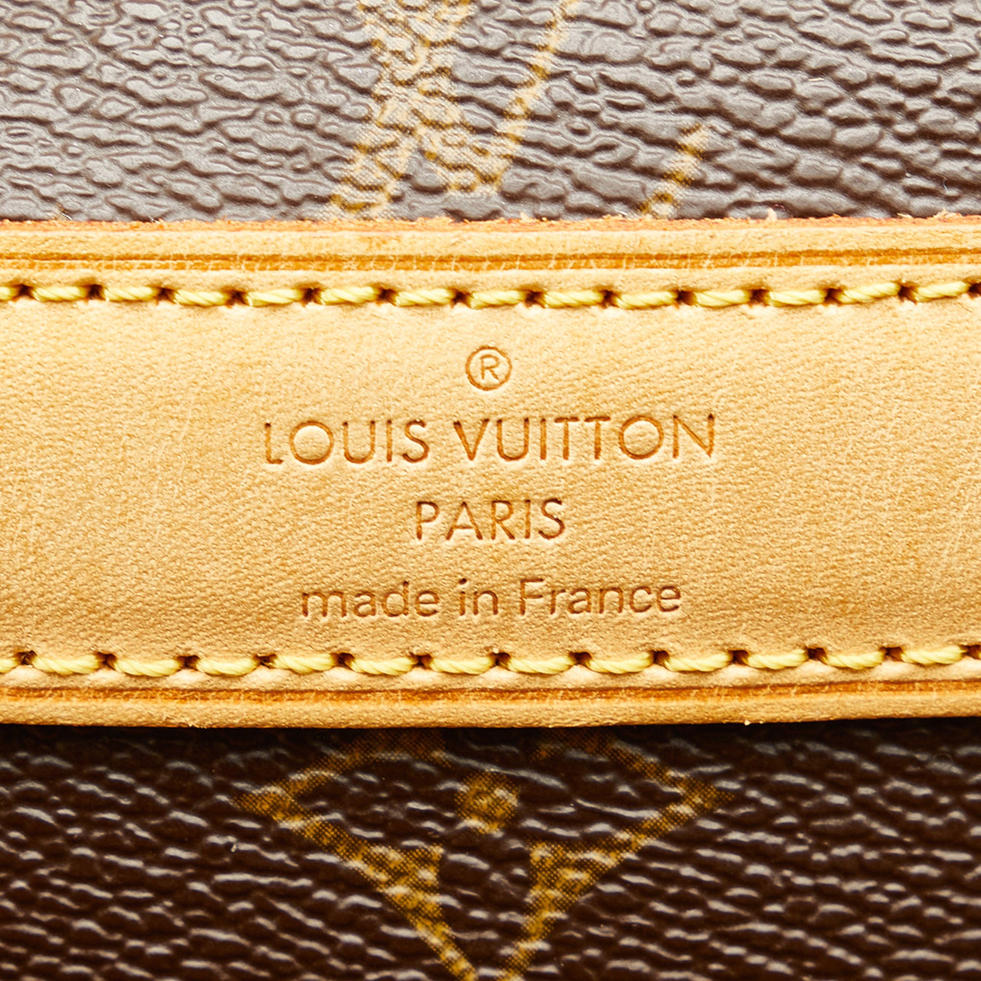 Louis Vuitton Monogram Canvas Sac Chien 40 QJB0DC5V0B017