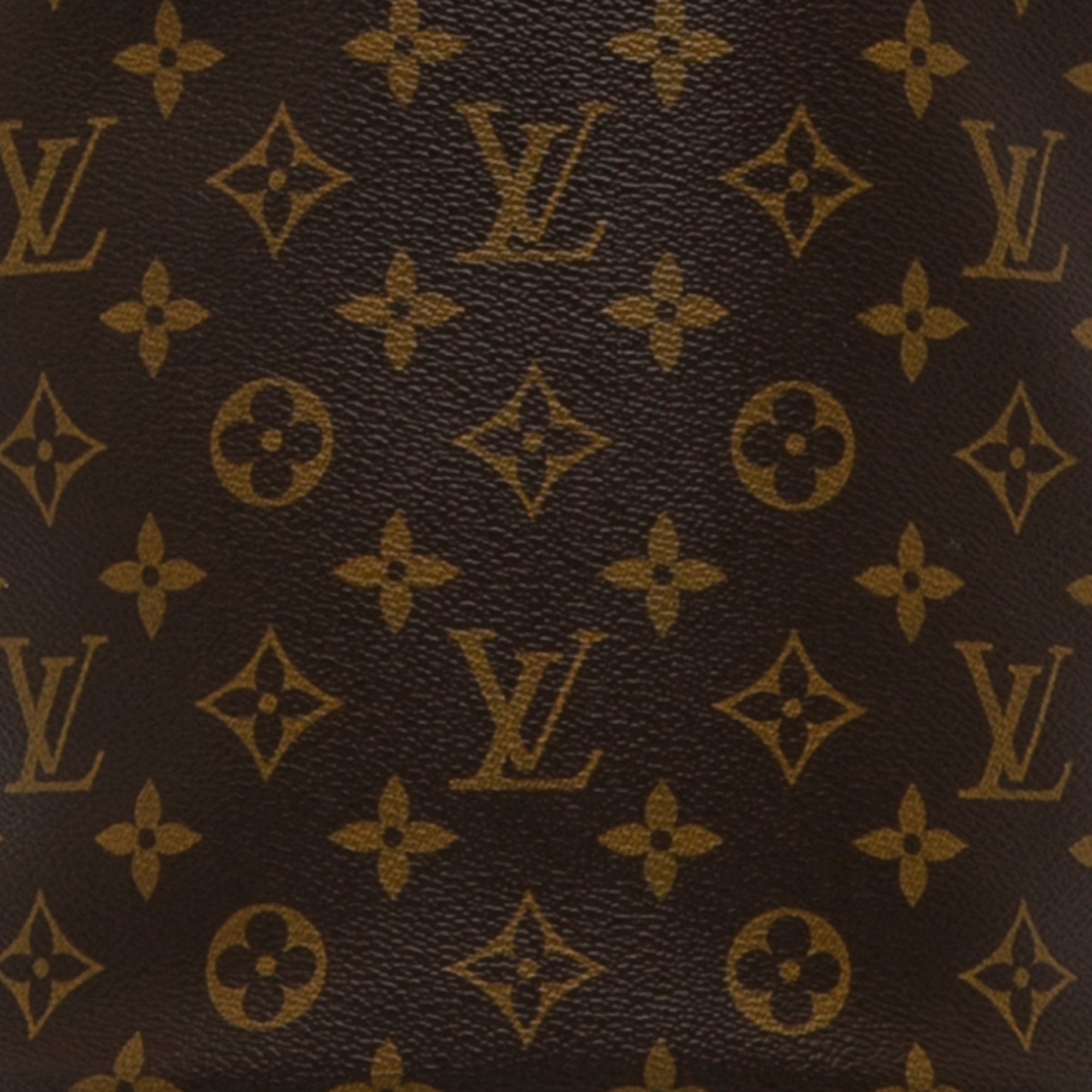 Louis Vuitton Brown Leather Canvas Monogram Iconoclasts Karl