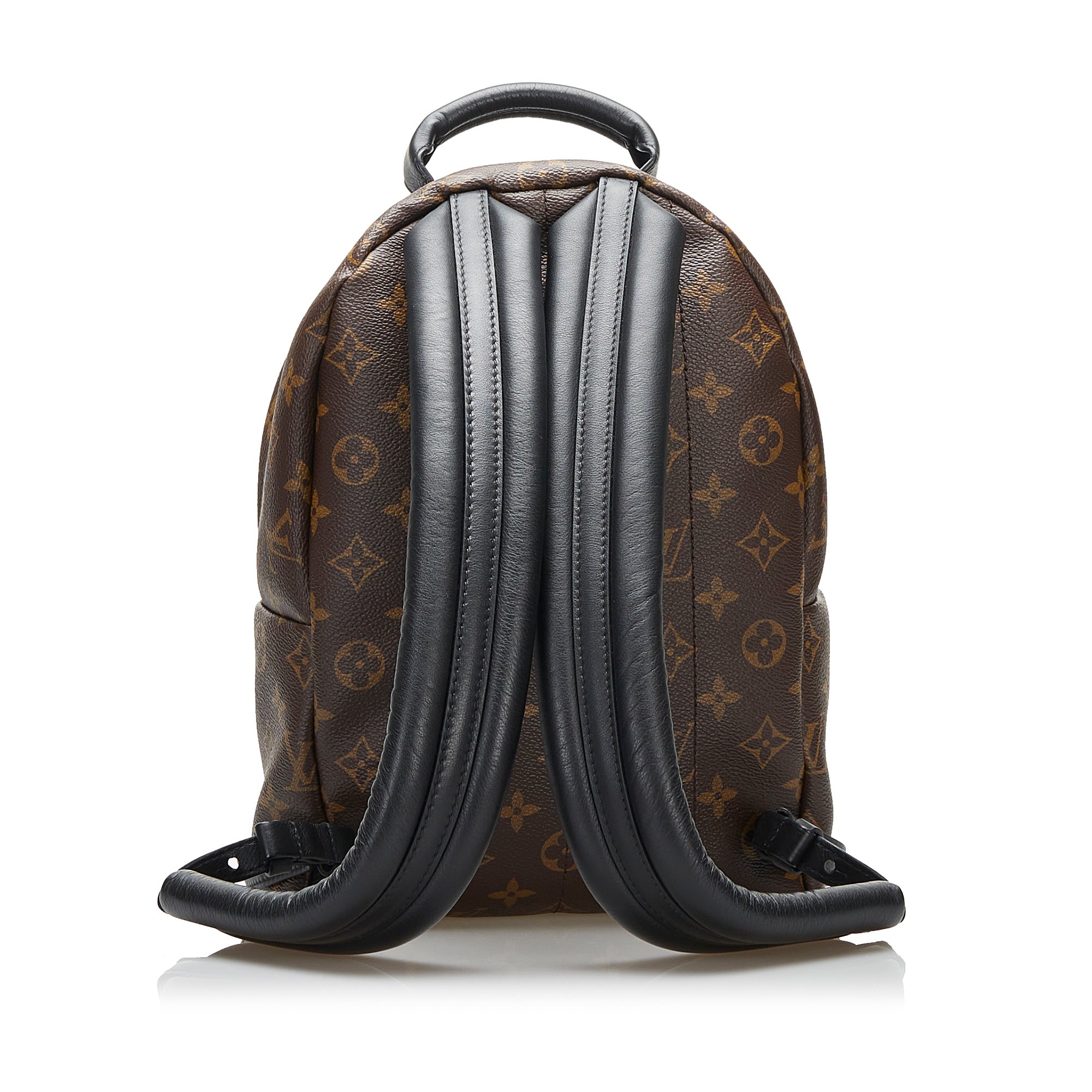 Louis Vuitton Monogram Reverse Palm Springs MM - Brown Backpacks