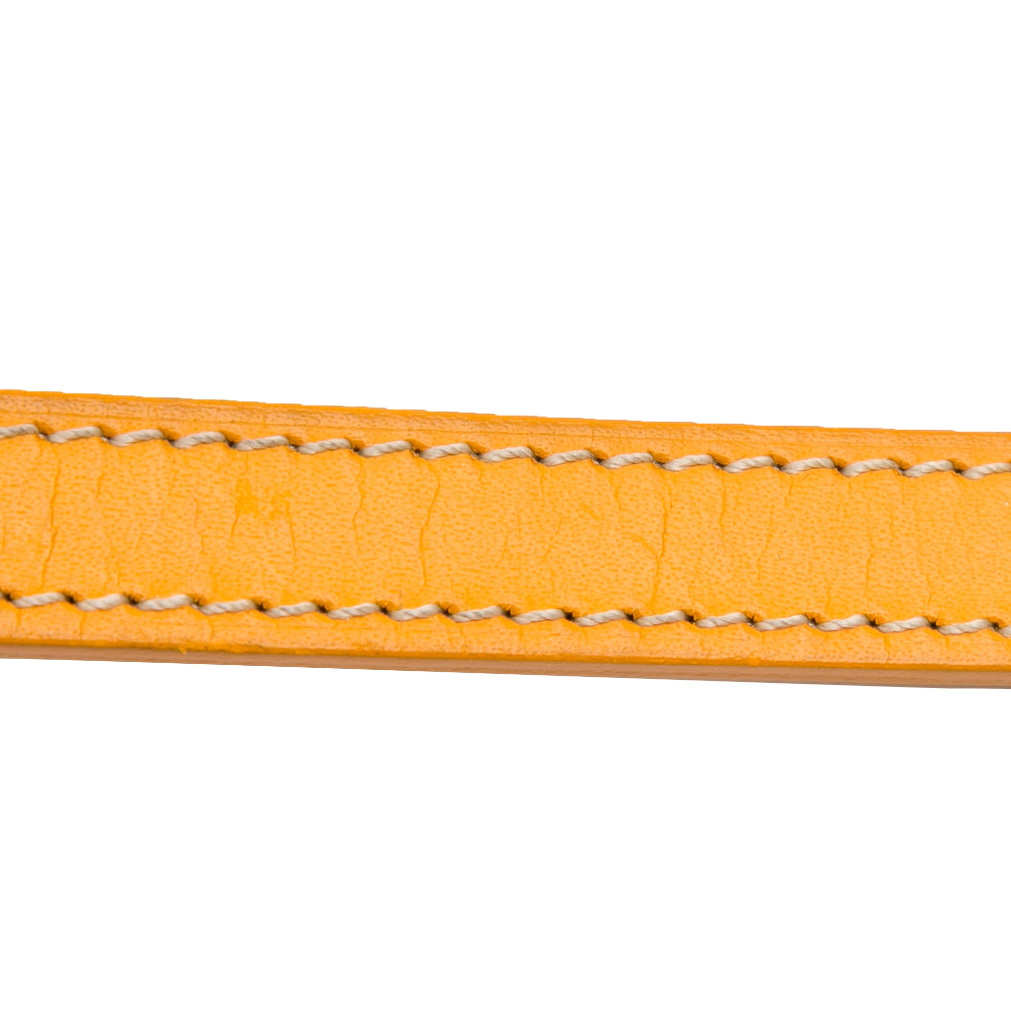 Yellow Goyard Goyardine Sac Cap Vert Crossbody Bag – Designer Revival