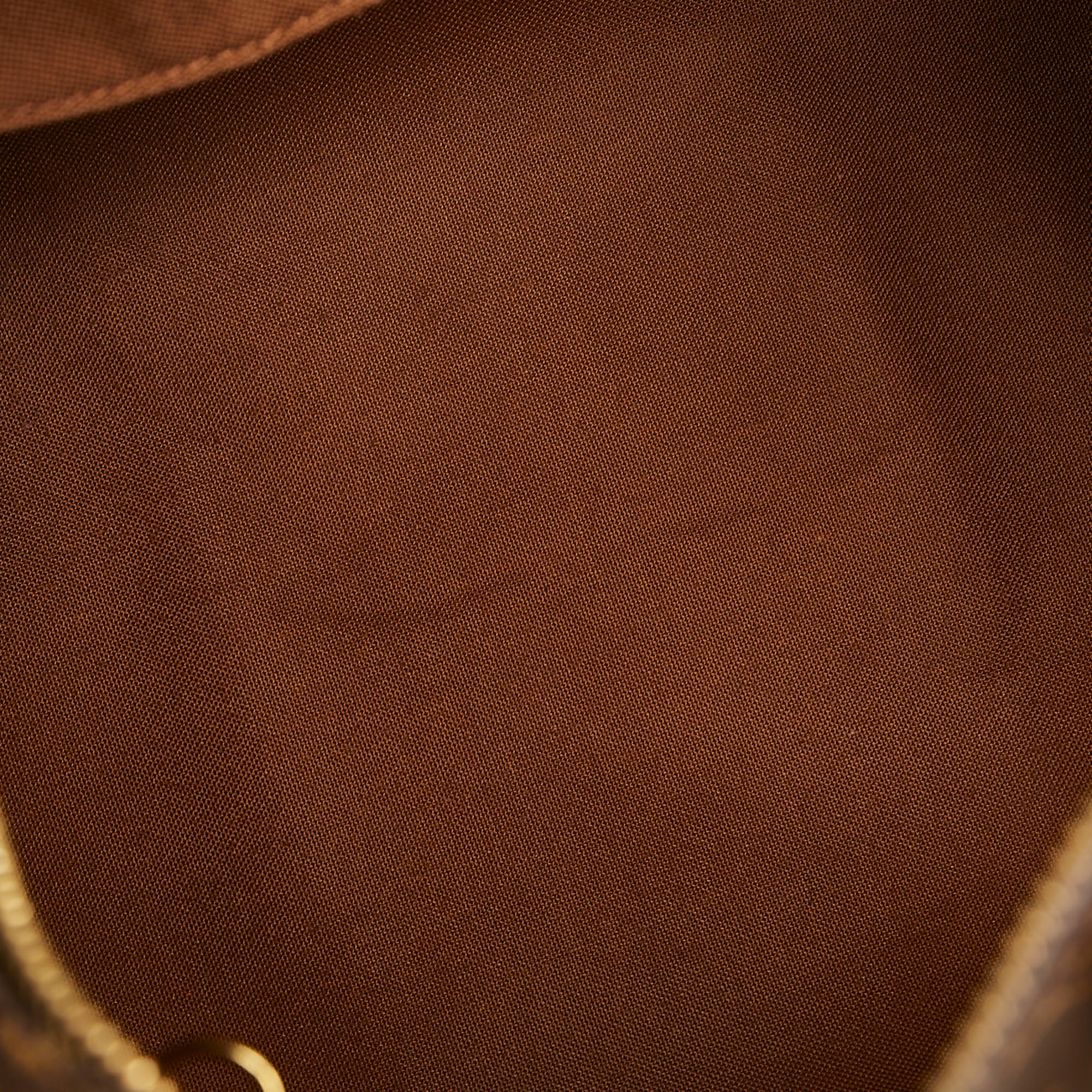 Louis Vuitton Brown Epi Speedy 30 Dark brown Leather ref.155836 - Joli  Closet