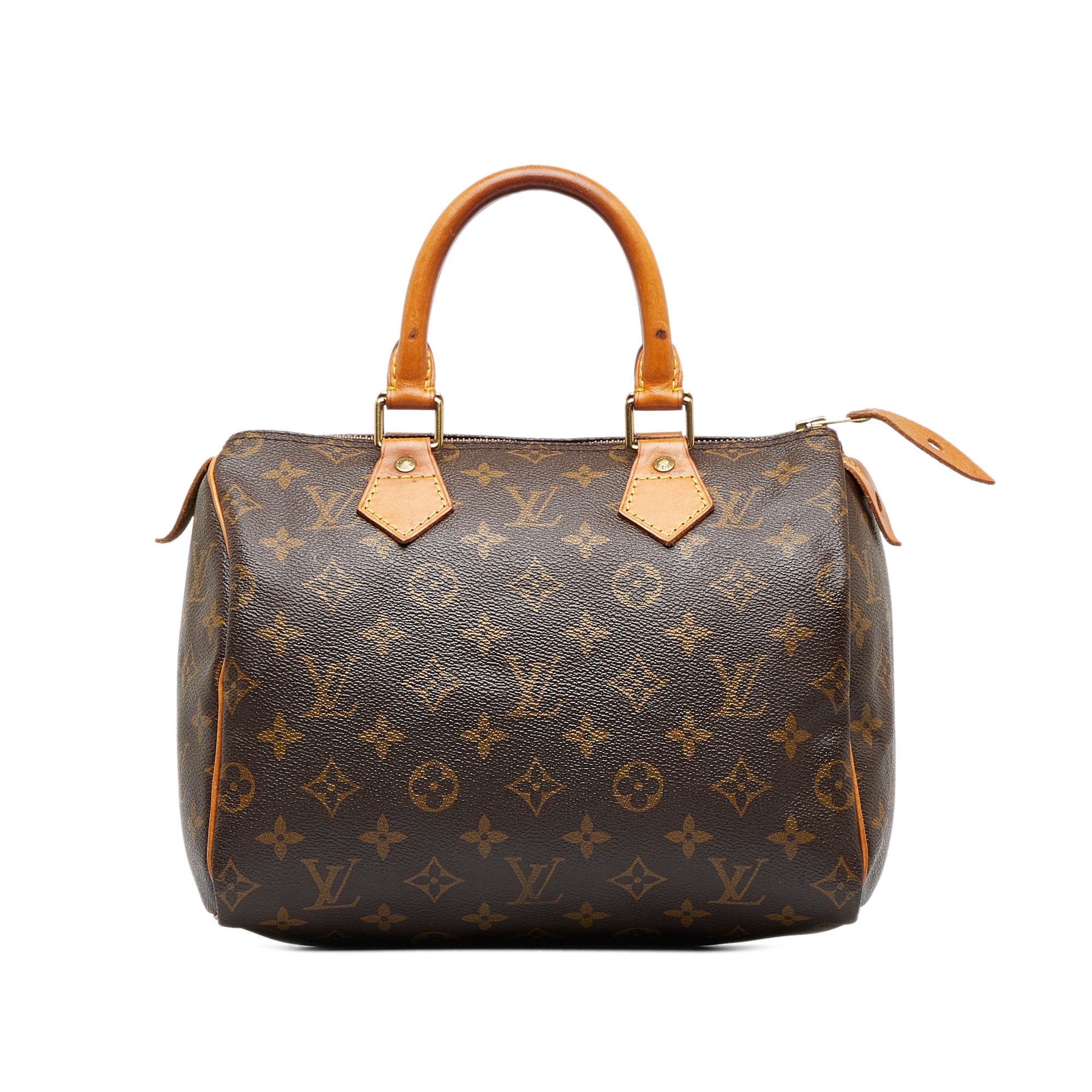 Louis Vuitton Monogram Canvas and Leather Speedy 25 Bag Louis