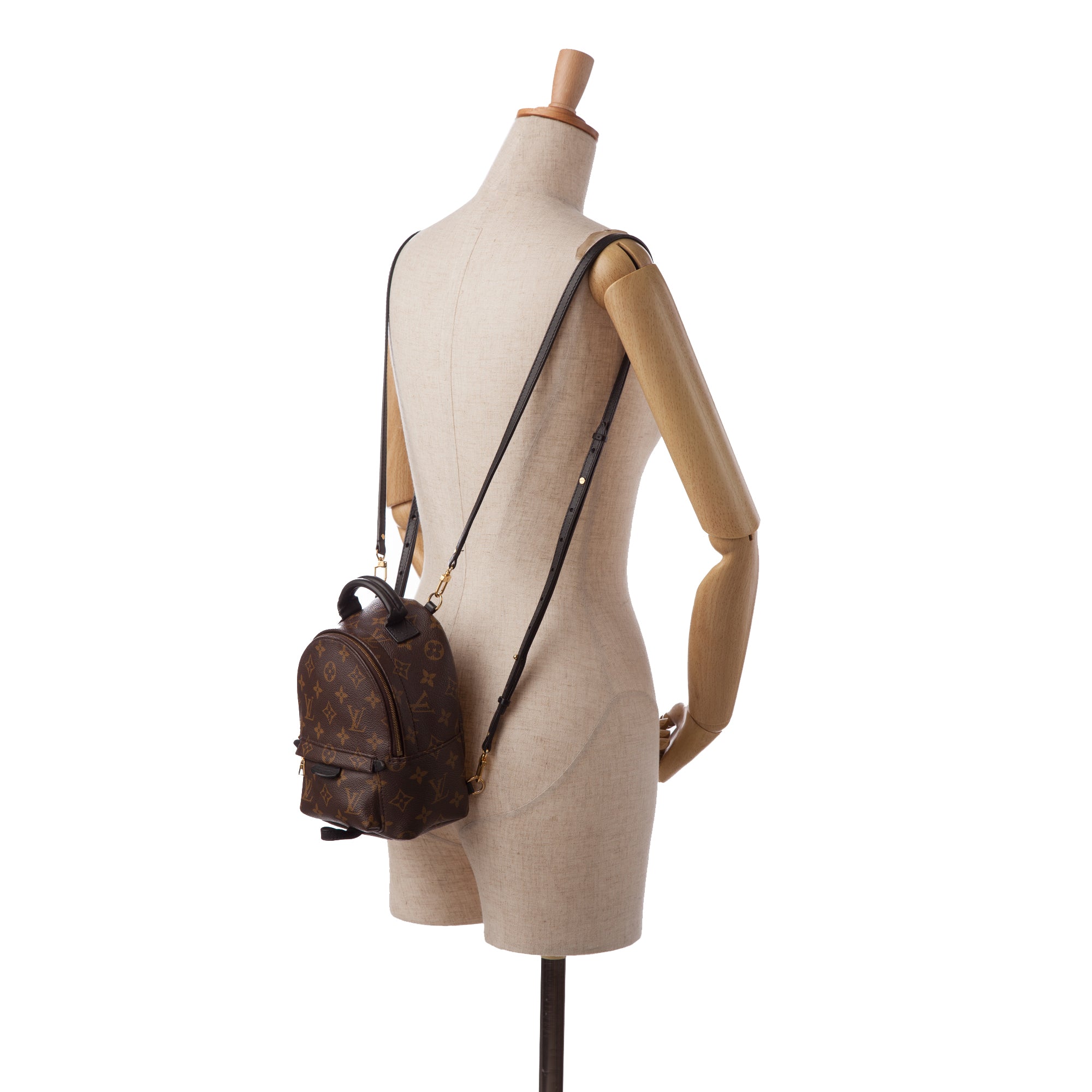 Palm Springs Mini  Louis vuitton backpack mini, Vuitton outfit