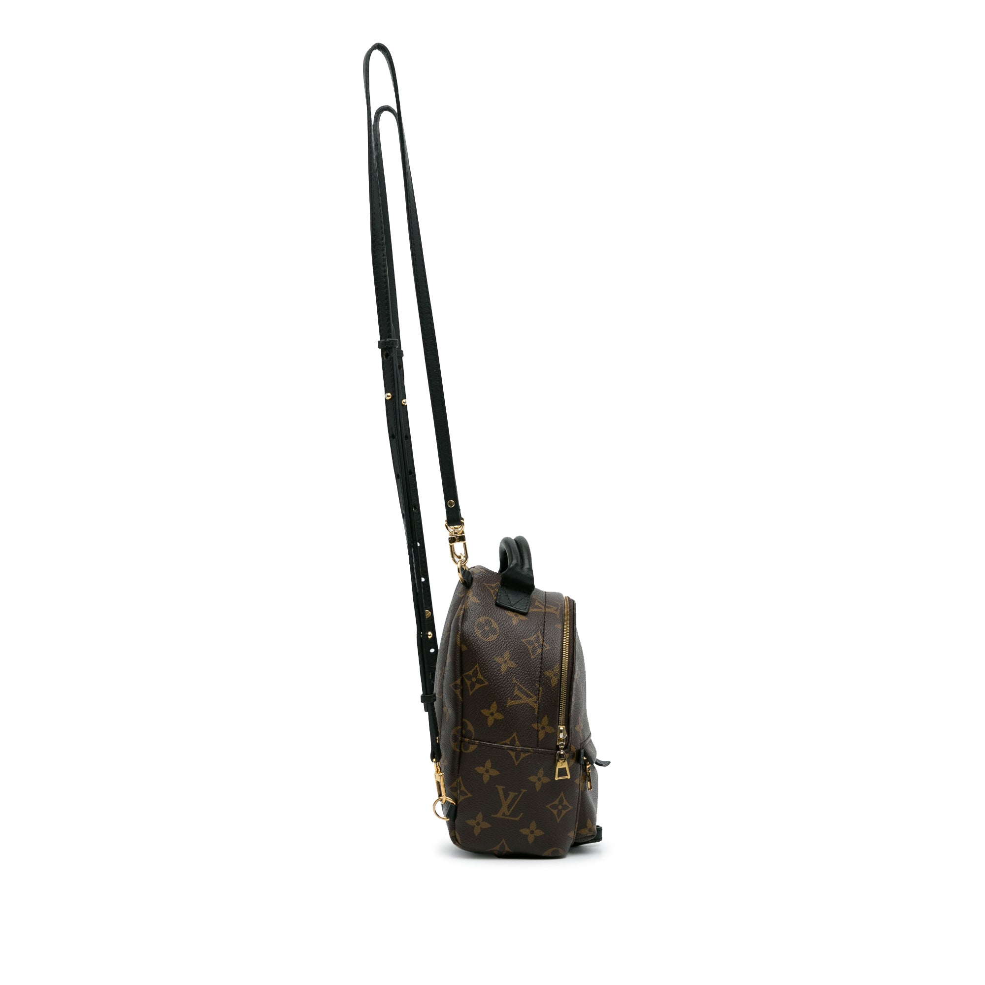 Brown Louis Vuitton Monogram Palm Springs Mini Backpack – Designer