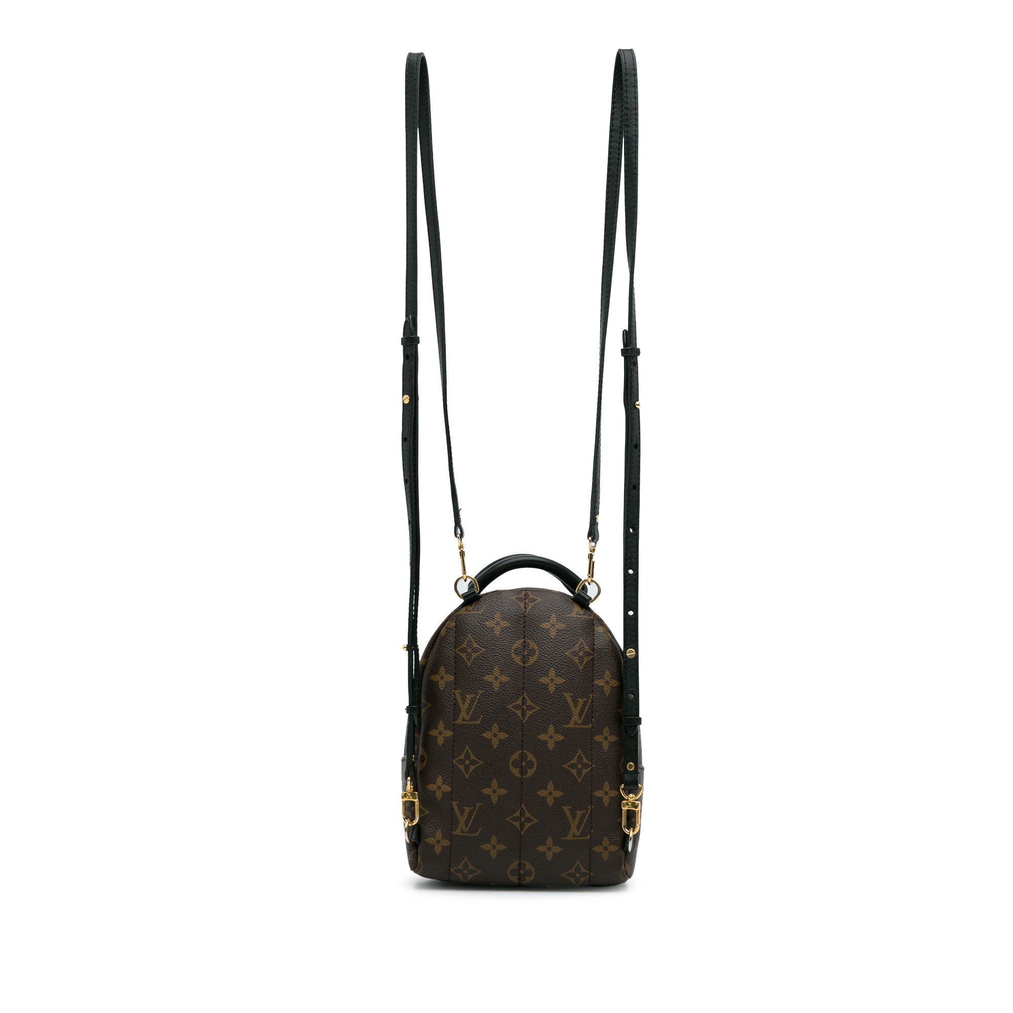 Louis Vuitton, Bags, Authentic Louis Vuitton Palm Springs Mini Backpack  Bb Crossbody