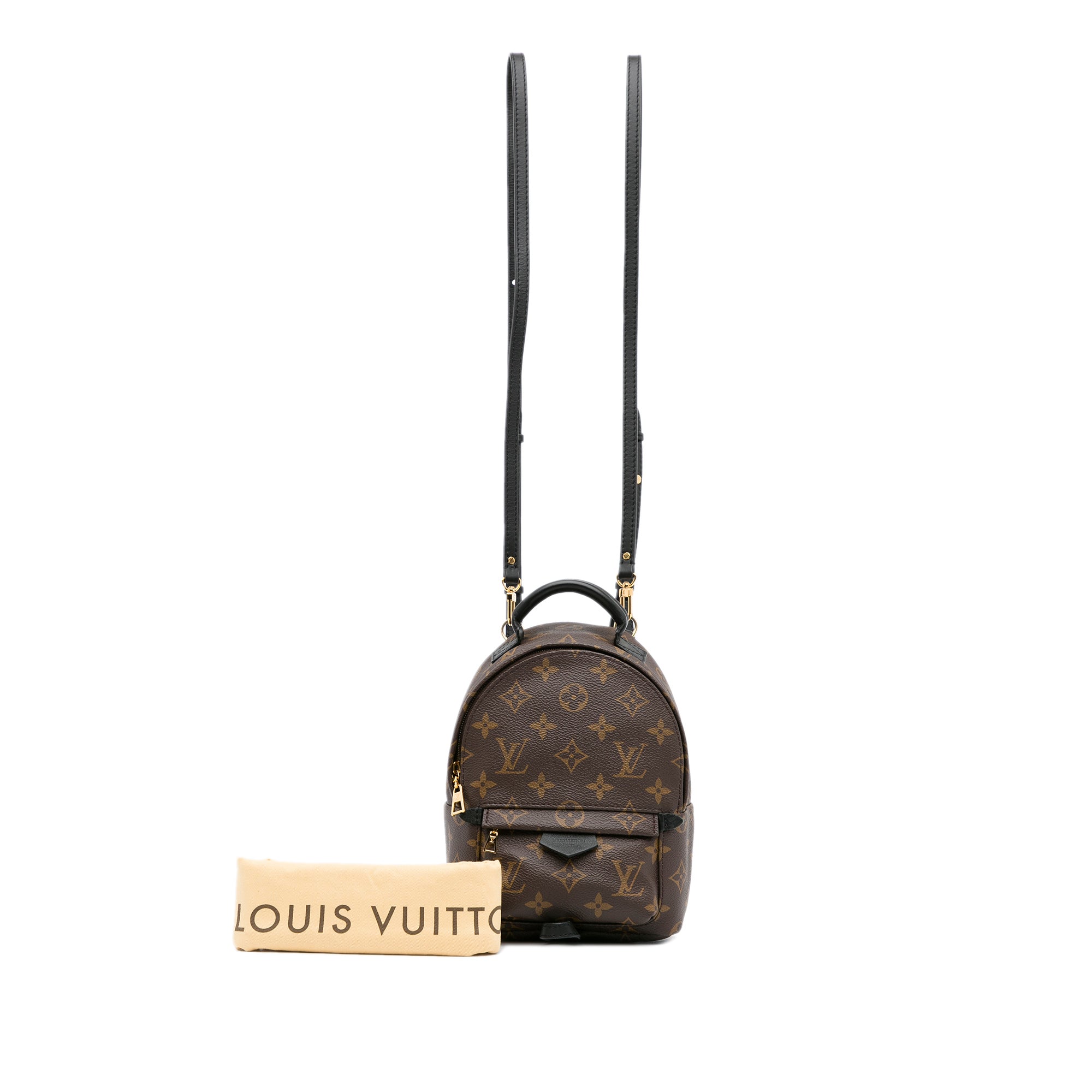Louis Vuitton Monogram Canvas Mini Palm Spring Backpack Louis Vuitton