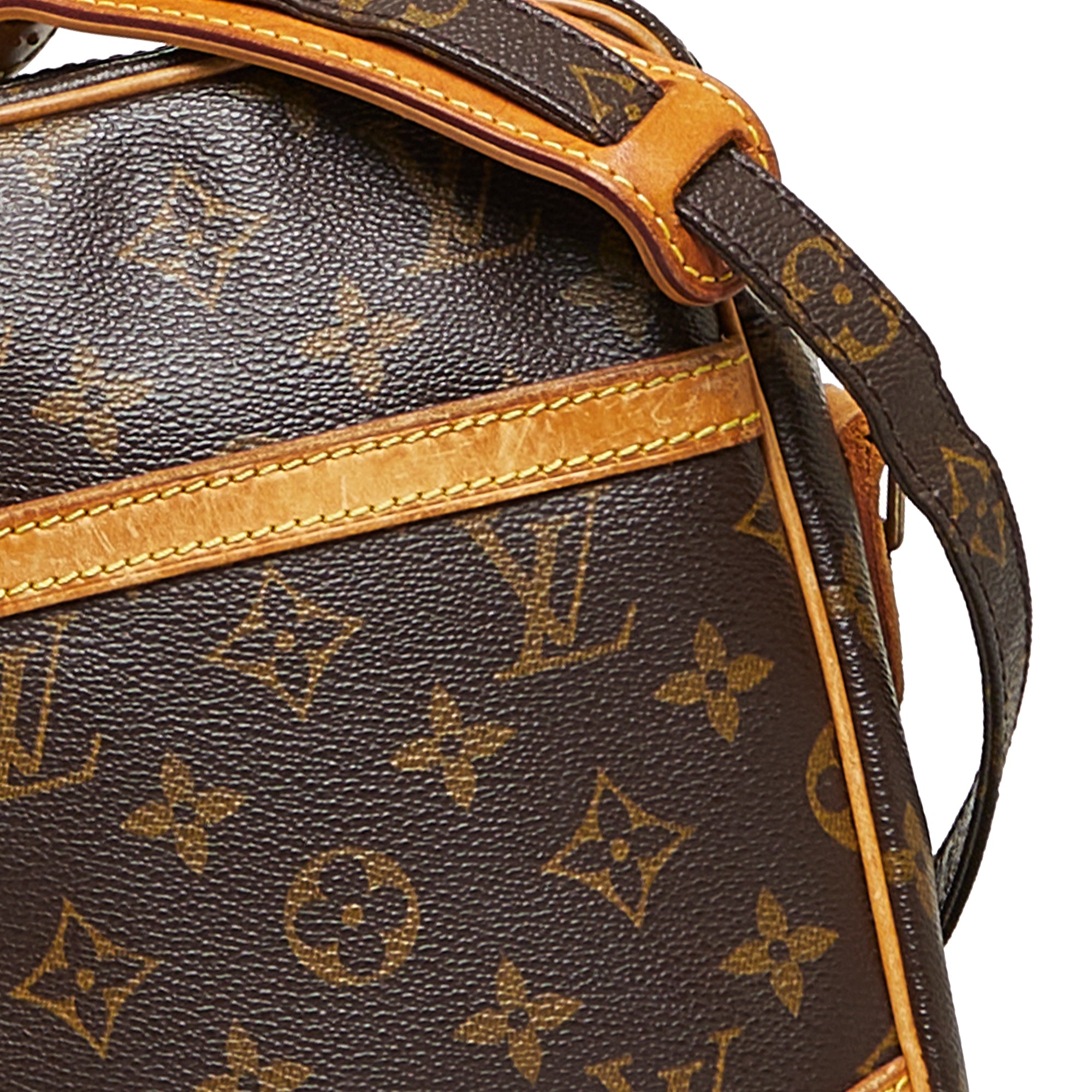 Louis Vuitton Monogram Danube GM Crossbody Bag