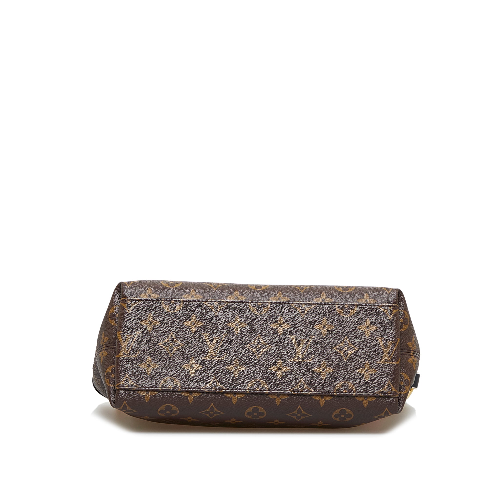 Louis Vuitton, Bags, Louis Vuitton Tuileries Besace Bag Monogram Canvas  With Leather Brown