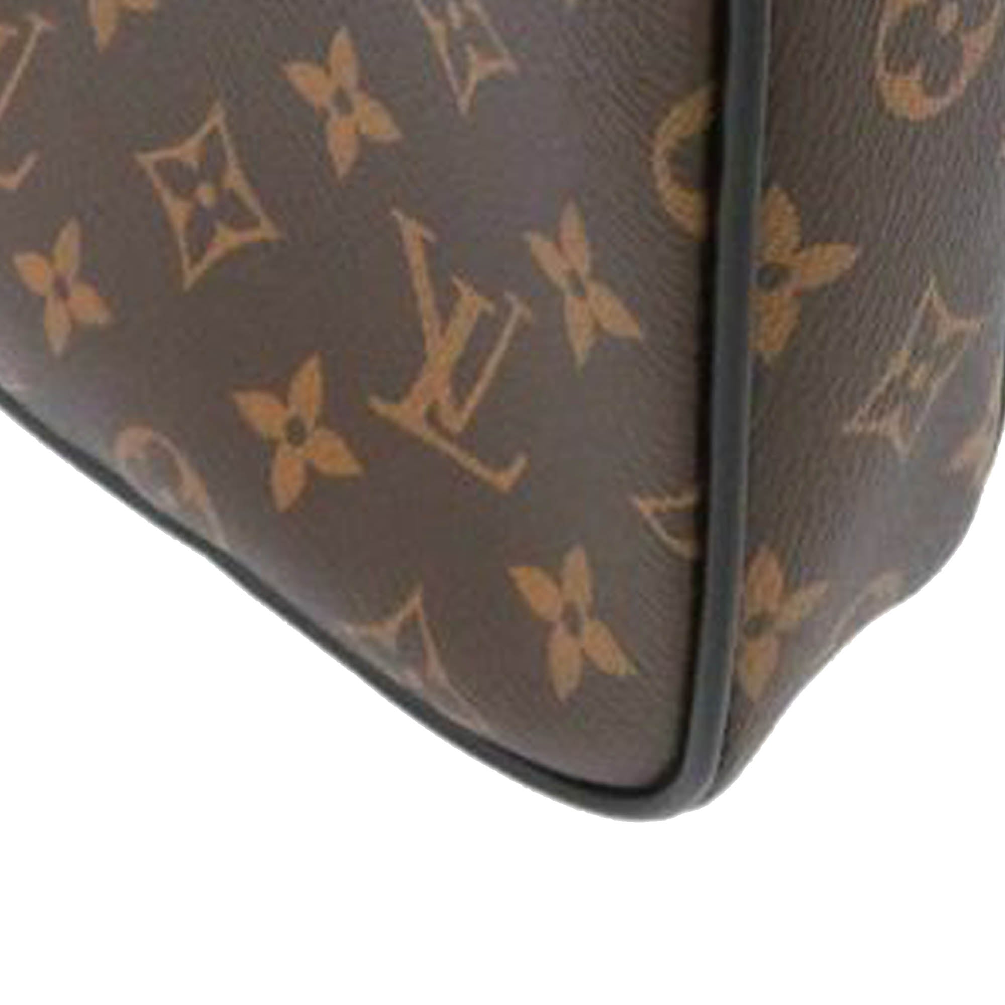 Louis Vuitton, Bags, Louis Vuitton Christopher Wearable Wallet In  Monogram Macassar Authentic